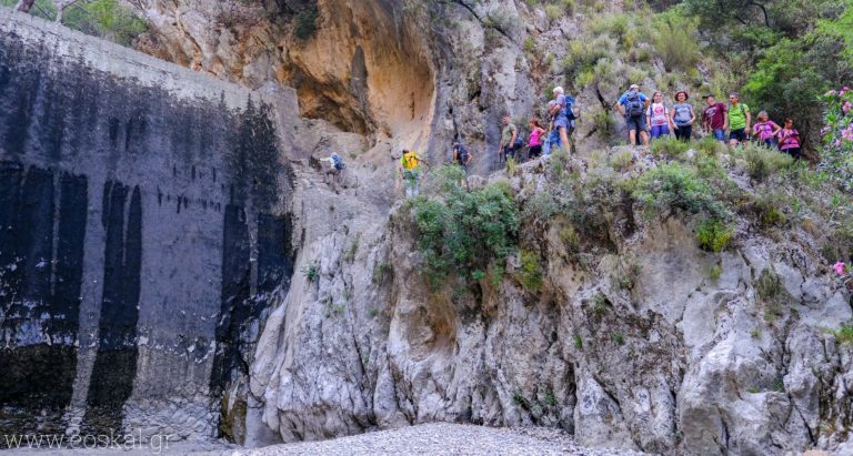 Καλαμάτα: Πεζοπορία στο φαράγγι του Νέδοντα με τον ΕΟΣ