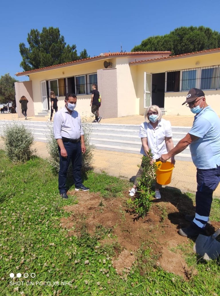 Ροδόπη: Δενδροφύτευση στο Γυμνάσιο Ιάσμου