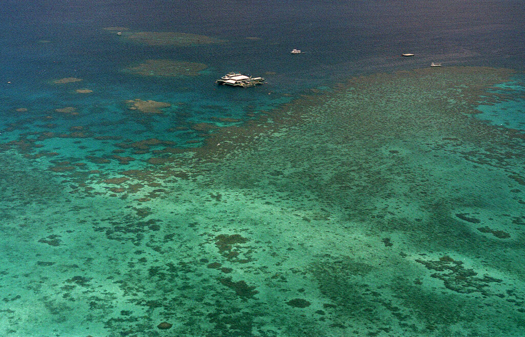 “Φυσικό μνημείο σε κίνδυνο” ο Μεγάλος Κοραλλιογενής Ύφαλος στην Αυστραλία