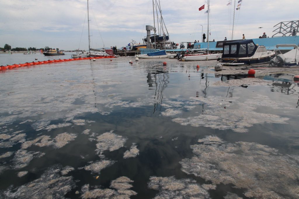 Μπορεί η “θαλάσσια βλέννα” στις ακτές του Μαρμαρά να επηρεάσει τις ελληνικές ακτές; – Τι απαντούν καταξιωμένοι επιστήμονες (video)