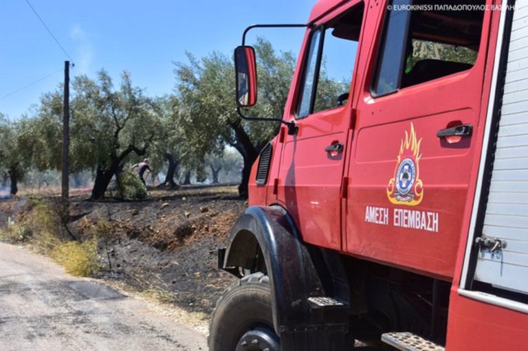 Πυρκαγιά πίσω από το Λύρειο Παιδικό Ίδρυμα στο Νέο Βουτζά