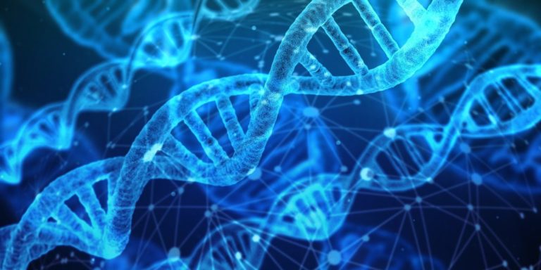 Διεθνής επιστημονική ομάδα ολοκλήρωσε την ανάγνωση του ανθρώπινου γονιδιώματος