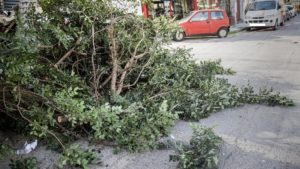 Μεγάλες ζημιές από το μπουρίνι στους Δήμους Καρδίτσας, Παλαμά, Σοφάδων (video)