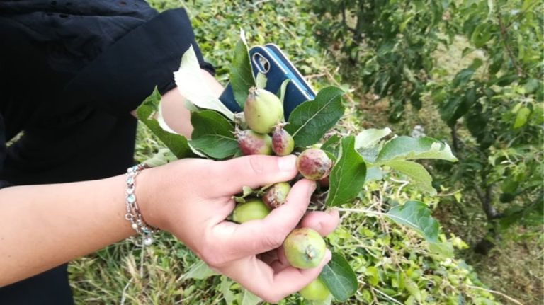 Επίσκεψη του Χρ. Μπουκώρου στη χαλαζόπληκτη Νέα Αγχίαλο