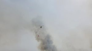 Ηράκλειο: Στάχτη από την πυρκαγιά 280 στρέμματα στο δήμο Χερσονήσου