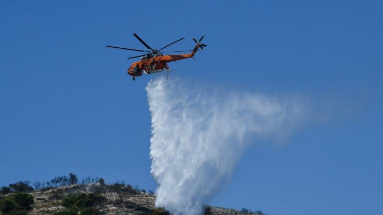 Οριοθετήθηκε η πυρκαγιά σε δασική έκταση στη Χασιά Αττικής