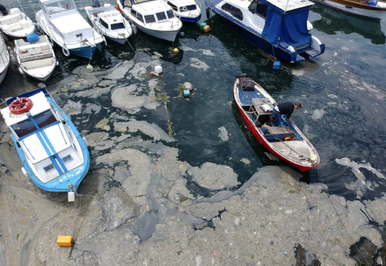 Θάλασσα Μαρμαρά: Νέκρωσε τα πάντα η θαλάσσια βλέννα – Ειδικό σχέδιο για την καταπολέμησή της