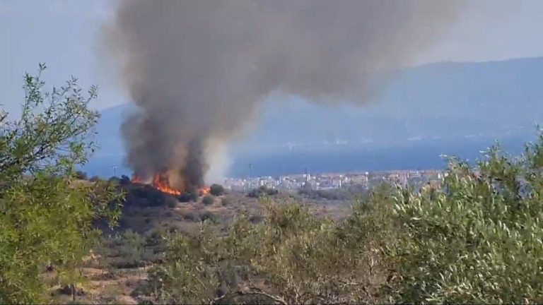 Υπό έλεγχο η φωτιά στην Αίγινα