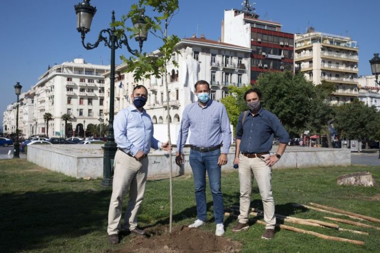 Θεσσαλονίκη: Δενδροφύτευση στην Πλατεία Δικαστηρίων από το ΕΒΕΘ