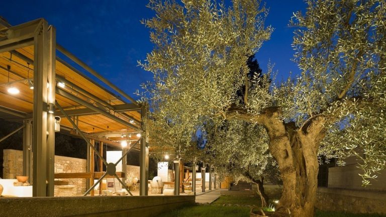 “Ταξιδεύοντας την Τέχνη” στο Μουσείο Ελιάς και Ελληνικού Λαδιού Σπάρτης