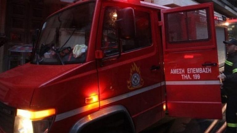 Χανιά: Συναγερμός μετά από πυρκαγιά σε πεύκα στα Λενταριανά