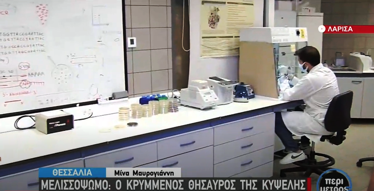 μελισό