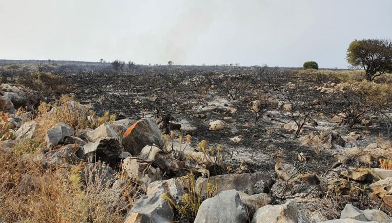 Ηράκλειο: Στάχτη από την πυρκαγιά 280 στρέμματα στο δήμο Χερσονήσου