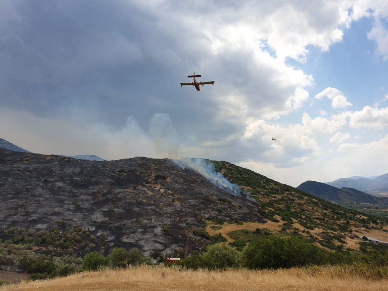 Φωτιά σε περιοχή της δημοτικής ενότητας Φάριδος του δήμου Σπάρτης