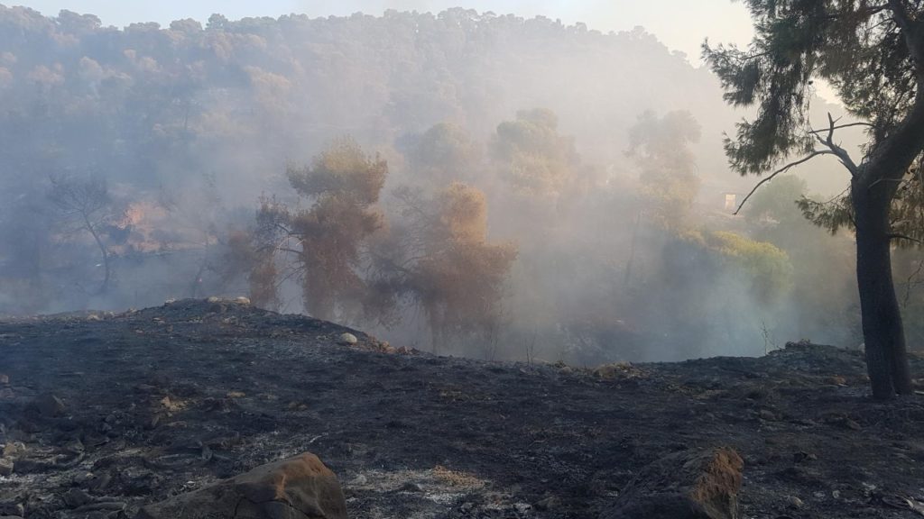 Κορινθία: 3.300 στρέμματα κάηκαν σε Καλέντζι και Αλμυρή