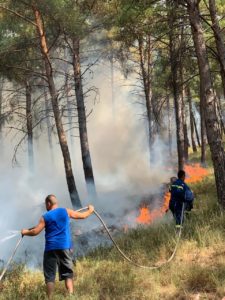 Ροδόπη: Κάηκαν 33 στρέμματα δασικής έκτασης στον Ίασμο