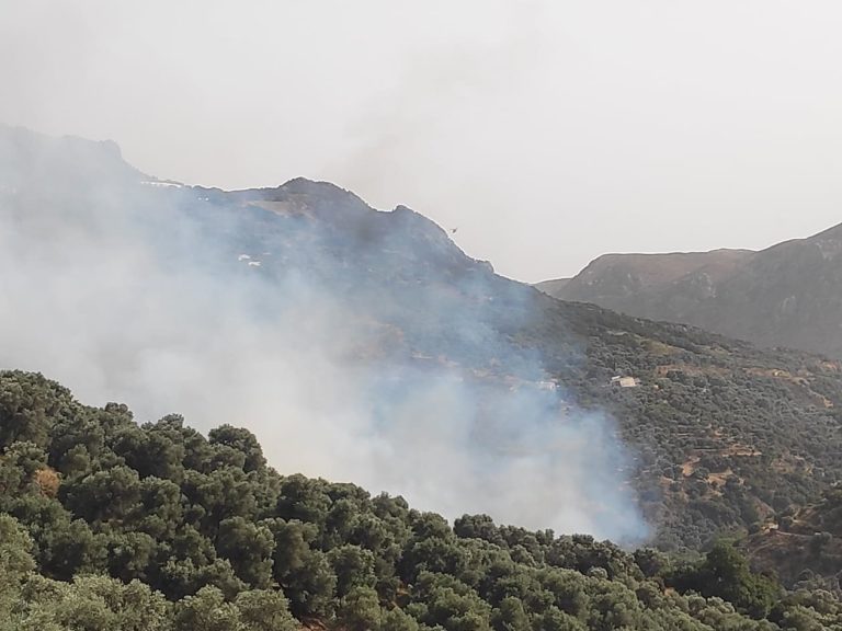 Πύρινο μέτωπο στο Κακοδίκι, στον Δ. Καντάνου – Σελίνου: Επιχειρούν 3  ελικόπτερα  και ένα αεροπλάνο – Εκκενώθηκαν οικισμοί  (video)