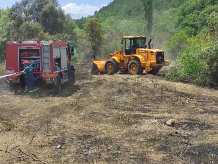 Ροδόπη: Αποτελεσματική επιχείρηση κατάσβεσης πυρκαγιάς στο φυσικό περιβάλλον της Πανδρόσου