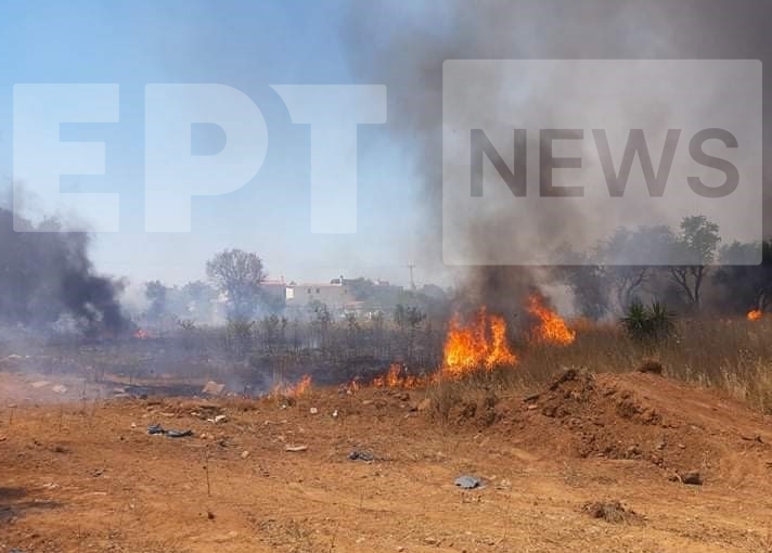 Υπό μερικό έλεγχο η πυρκαγιά στην Κηφισιά – Άμεση η κινητοποίηση της Πυροσβεστικής