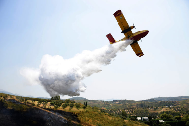 Μάχη με τις φλόγες στην Ανατολική Φθιώτιδα