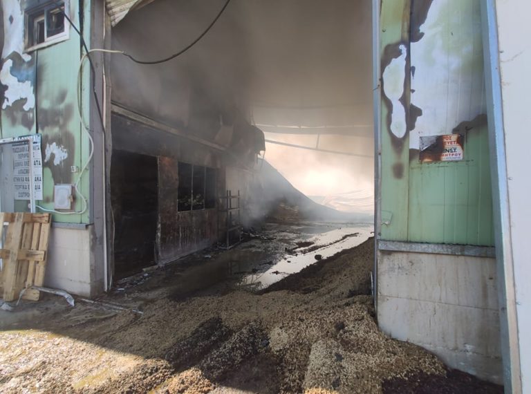 Λέσβος: Χρειάζονται γρήγορες ενέργειες για να “ξανασταθεί” στα πόδια του μετά τη φωτιά ο συνεταιρισμός Μεσοτόπου