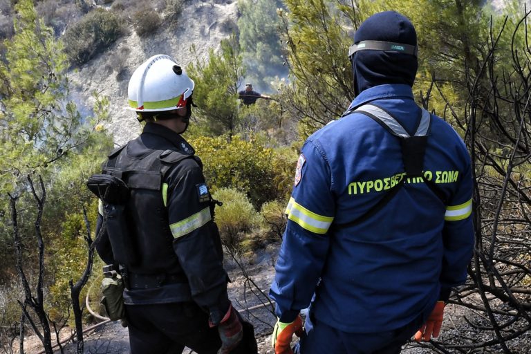 Υπό έλεγχο η πυρκαγιά στην Λίμνη Ευβοίας