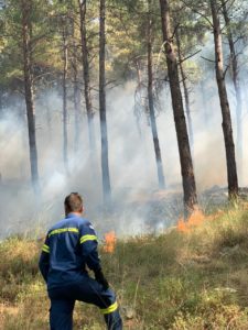 Ροδόπη: Κάηκαν 33 στρέμματα δασικής έκτασης στον Ίασμο