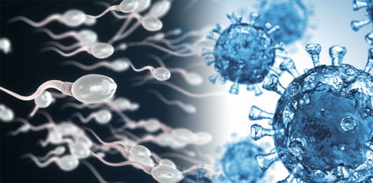 Τα εμβόλια mRNA δεν επηρεάζουν το σπέρμα – Τι έδειξε έρευνα για τη γονιμότητα στις ΗΠΑ