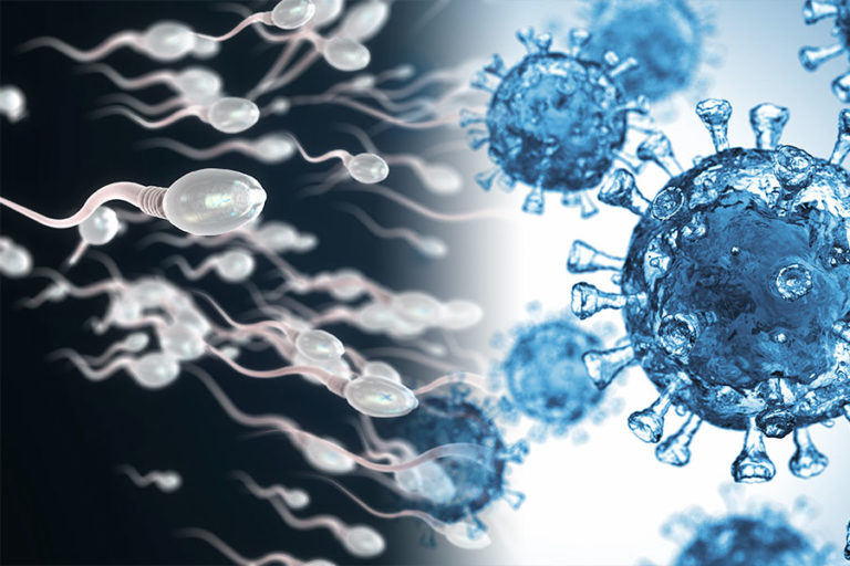 Τα εμβόλια mRNA δεν επηρεάζουν το σπέρμα – Τι έδειξε έρευνα για τη γονιμότητα στις ΗΠΑ