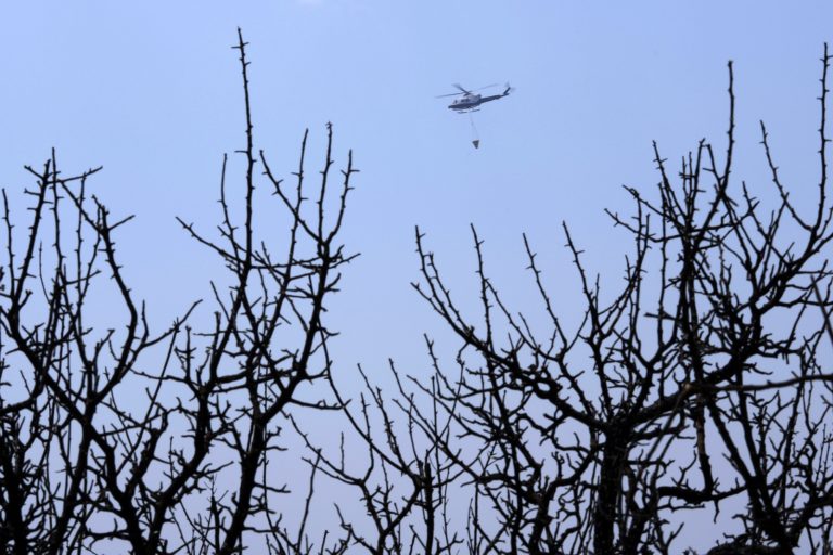 Κύπρος: Υπό μερικό έλεγχο η νέα πυρκαγιά στη Λεμεσό