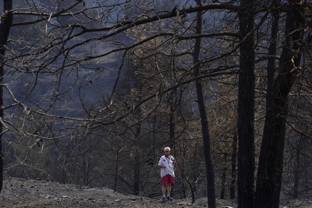Κύπρος: Οδοιπορικό της ΕΡΤ στις καμένες δασικές εκτάσεις (video)
