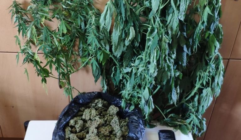 Ρέθυμνο: Κατασχέθηκαν σχεδόν μισό κιλό κάνναβης, γεμιστήρας και φυσίγγια