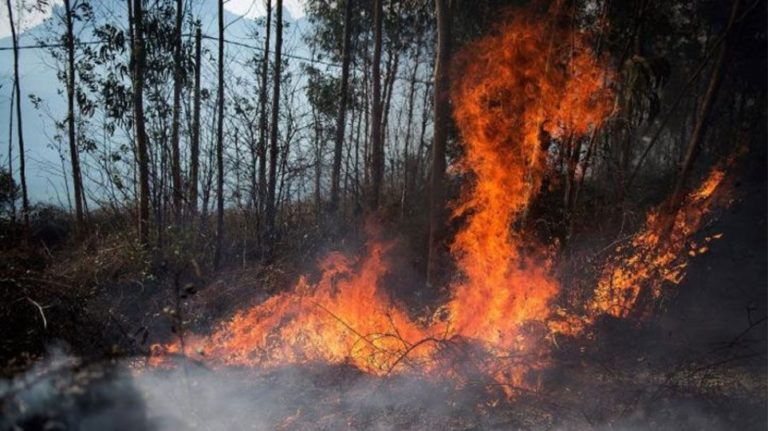 Αχαΐα: Δασική πυρκαγιά στο Κάτω Μαυρίκι Αιγίου