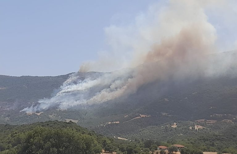 Φωτιά σε εξέλιξη στον Δήμο Ερυμάνθου στην Αχαΐα – Προληπτικά εκκενώνεται η Δροσιά (video)