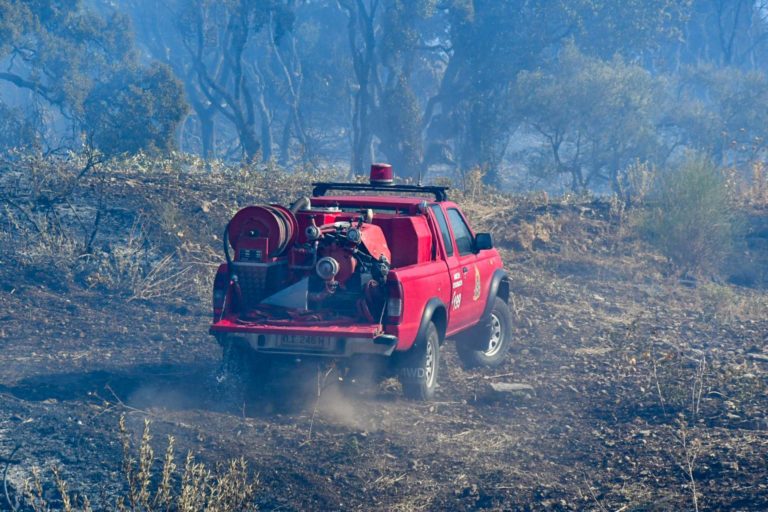 Φωτιά στην Αχαΐα: Καλύτερη η εικόνα σε Δροσιά και Ελεκίστρα – Κάτοικος Σουλίου: “Η φωτιά μέσα σε 2 λεπτά έφθασε στα σπίτια” (video)
