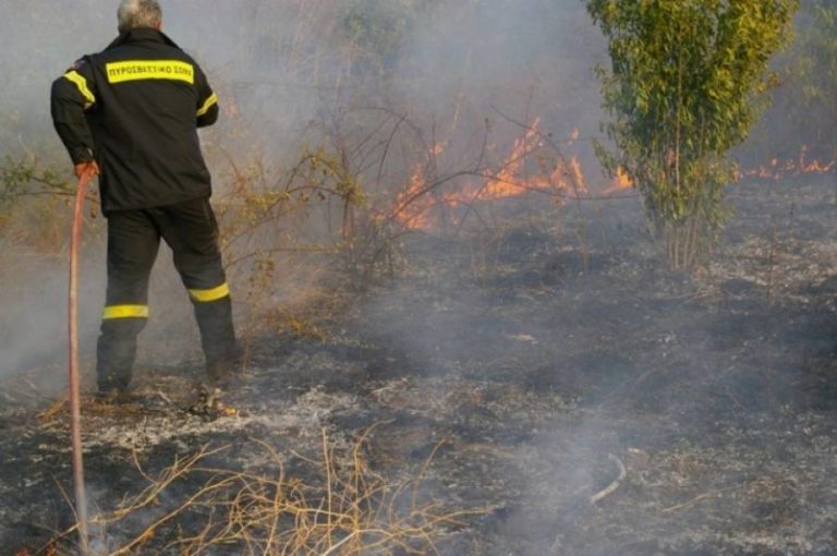 Οριοθετήθηκε ήδη η φωτιά στον Τρίλοφο Θεσσαλονίκης
