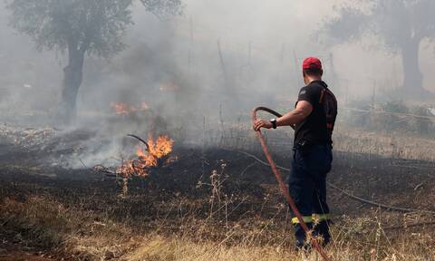 Φωτιά σε αγροτοδασική έκταση στη Νέα Μαγνησία Θεσσαλονίκης