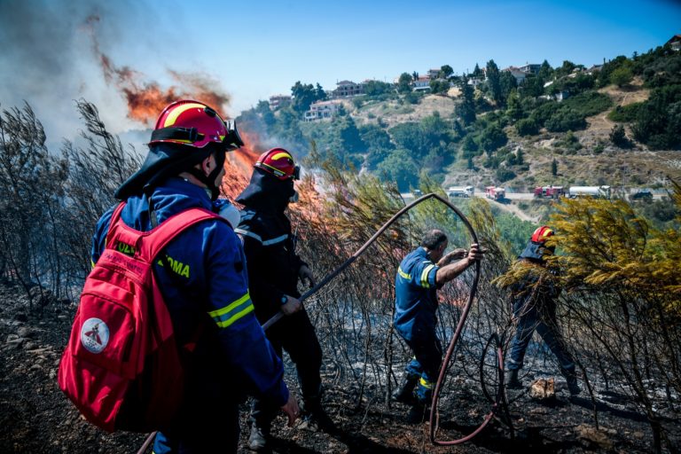 Ν. Χαρδαλιάς: “Δύσκολη ημέρα” με 51 πυρκαγιές – Δεν απειλεί κατοικίες η φωτιά στα Στύρα