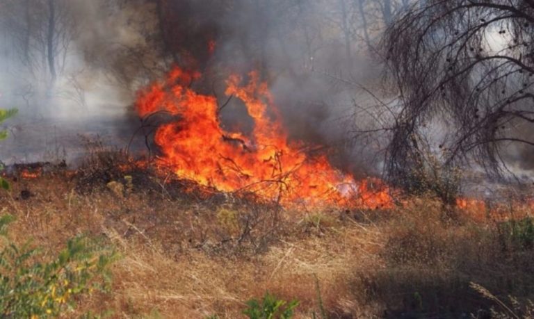 Αγ. Πνεύμα Σερρών: Έσβησε η φωτιά- Παραμένουν στο σημείο 10 πυροσβέστες