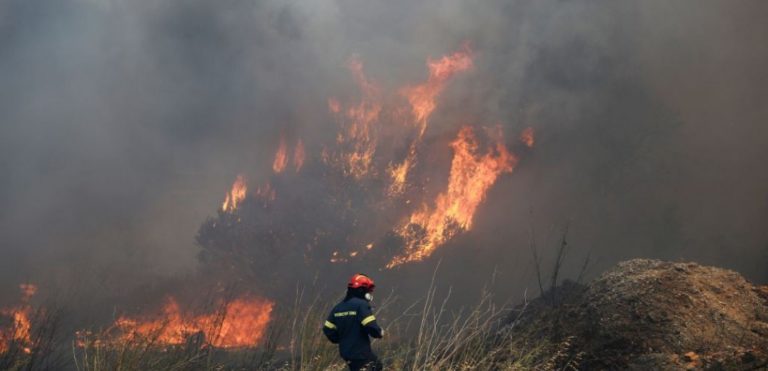 Δασική έκταση καίει η φωτιά στο Λυγουριό