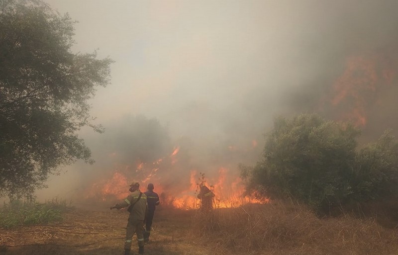 ΓΓΠΠ: Πολύ υψηλός κίνδυνος πυρκαγιάς την Τετάρτη για 4 Περιφέρειες