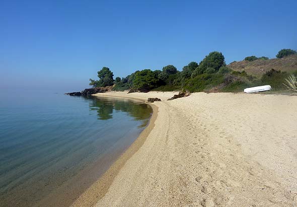 “Blue Halkidiki”: Επτά ημέρες περιβαλλοντικών δράσεων στη Σιθωνία