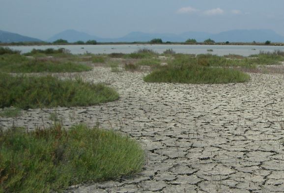 Χρ. Ζερεφός: H Ελλάδα κινδυνεύει από ερημοποίηση – Στα 700 δισ. ευρώ το κόστος της κλιματικής αλλαγής (video)