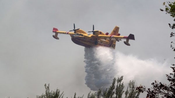 Χαλκίδα: Προς τη Νέα Λάμψακο η φωτιά