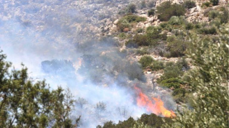 Φωτιά σε εξέλιξη στην Απολλωνία του Δ. Βόλβης