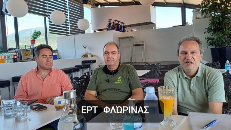 Πράσινοι: “Αναγκαιότητα η λειτουργία σιδηροδρομικής σύνδεσης με Αλβανία και Βόρεια Μακεδονία”