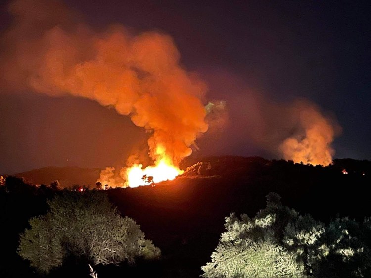 Ηλεία: Πυρκαγιά σε δασική περιοχή στην Κορυφή