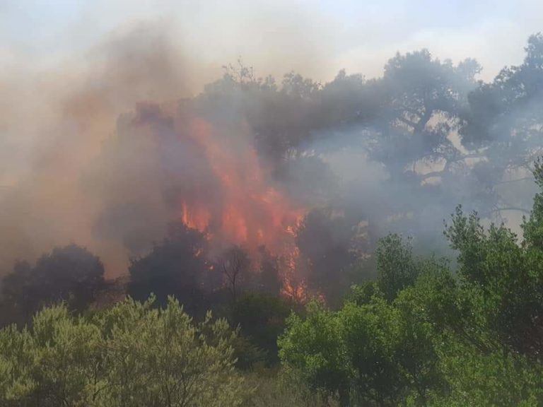 Μαίνεται η μεγάλη πυρκαγιά στον Έβρο – Αντίπαλος οι ισχυροί άνεμοι