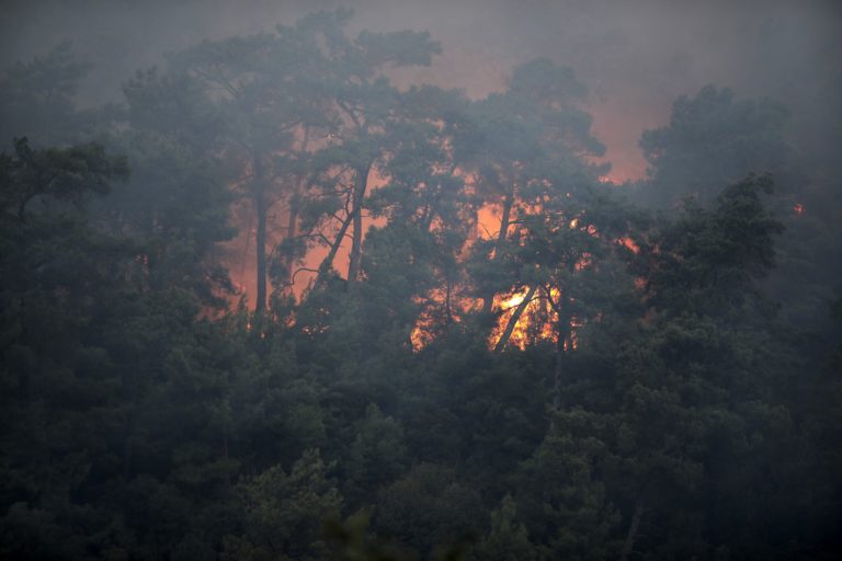 Δασική πυρκαγιά κοντά σε τουριστική περιοχή στη νότια Τουρκία