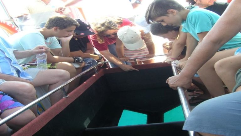 Λέσβος: Γνωρίζουμε το θαλάσσιο Πάρκο Νησιώπης με το ειδικό σκάφος με γυάλινο πυθμένα